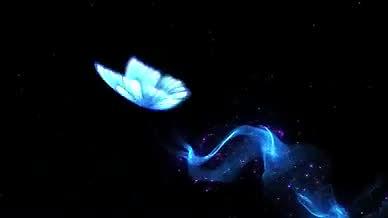 渐变绚丽蝴蝶拖尾粒子特效AE模板视频的预览图